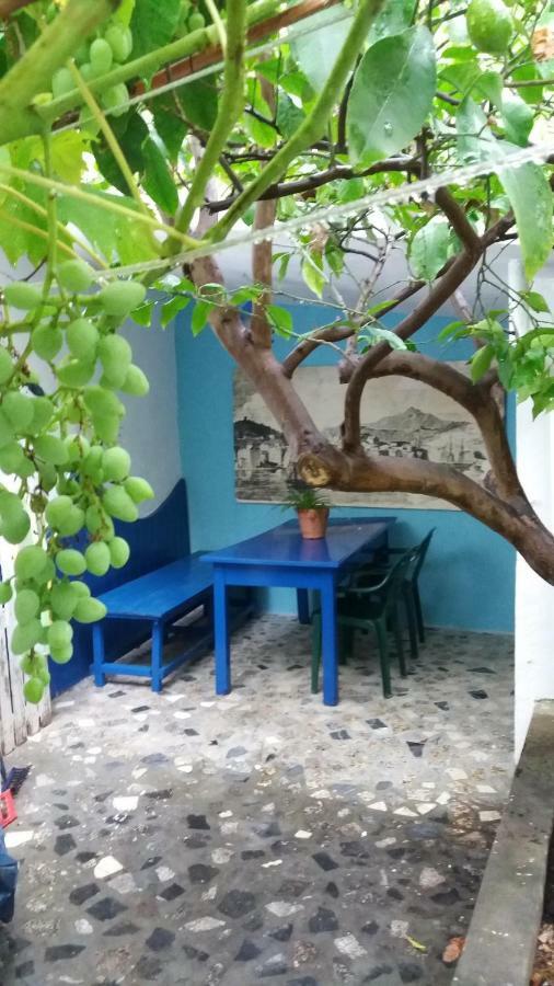 Apartmani Jadran 木洛希尼 外观 照片